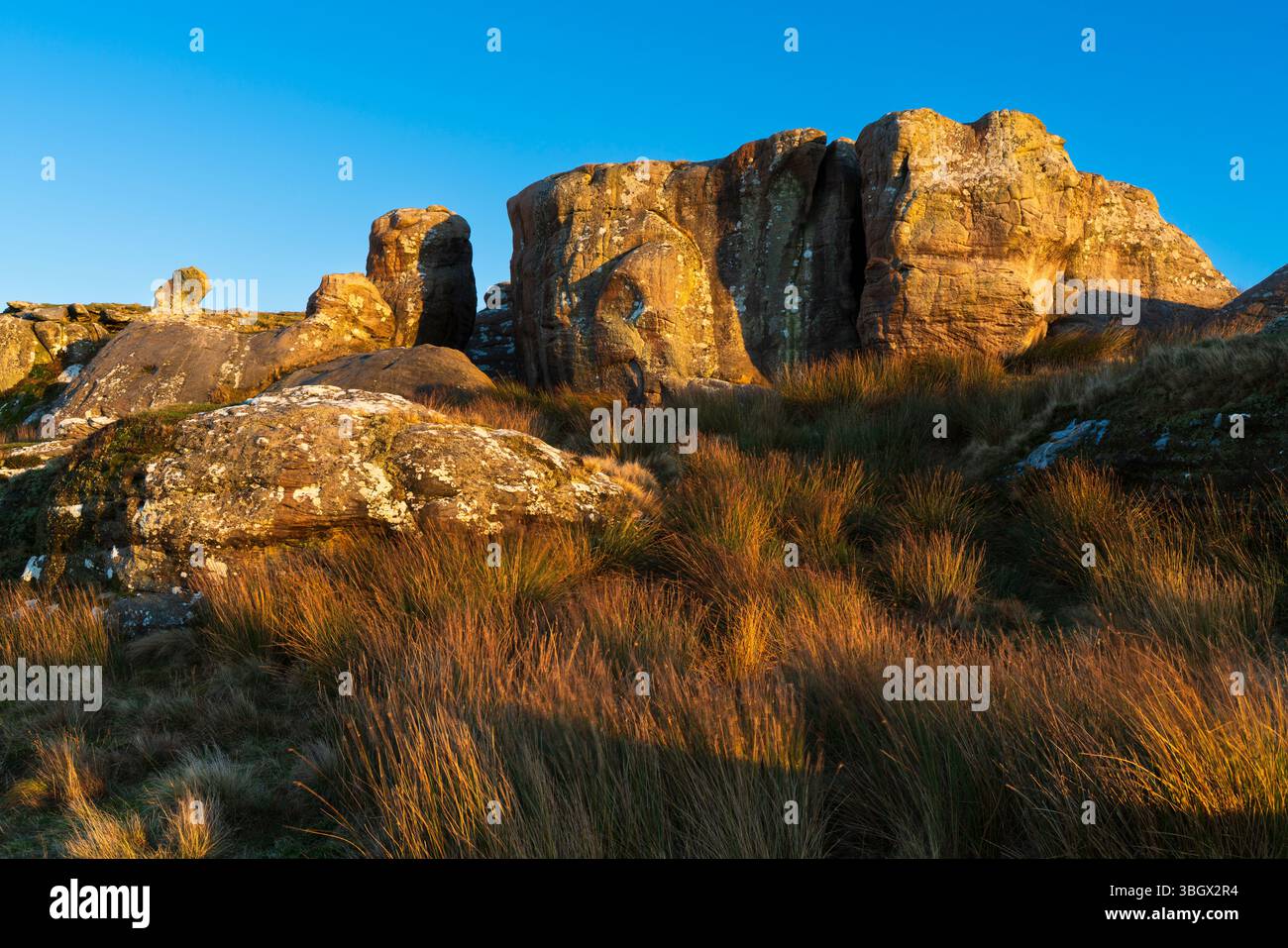 Angleterre, Northumberland, Caller Crag & Boulders. La lumière de la fin de l'après-midi illumine les caractéristiques de grès de Caller Crag & Boulders. Banque D'Images