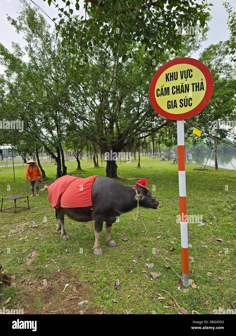 Nunh Binh, Vietnam - 10 octobre 2025 : complexe paysager panoramique de Trang an dans la province de Ninh Binh, Vietnam - Un site du patrimoine mondial de l'UNESCO. Un paysage wi - Image de stock capturée avec un smartphone