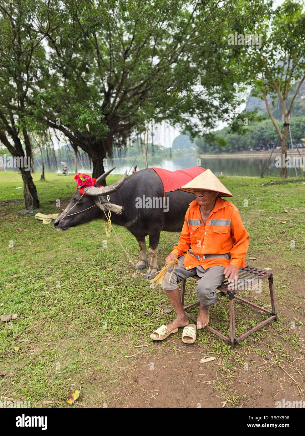 Nunh Binh, Vietnam - 10 octobre 2025 : complexe paysager panoramique de Trang an dans la province de Ninh Binh, Vietnam - Un site du patrimoine mondial de l'UNESCO. Un paysage wi - Image de stock capturée avec un smartphone