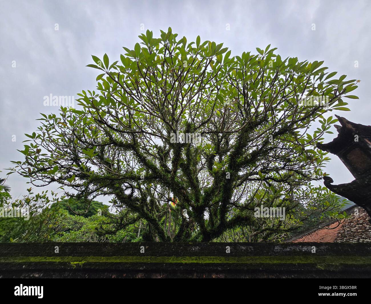 Nunh Binh, Vietnam - 10 octobre 2025 : complexe paysager panoramique de Trang an dans la province de Ninh Binh, Vietnam - Un site du patrimoine mondial de l'UNESCO. Un paysage wi - Image de stock capturée avec un smartphone