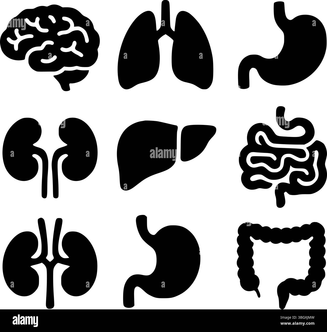 Ensemble d'icônes d'anatomie d'organe humain - Collection vectorielle Black Silhouette Illustration de Vecteur