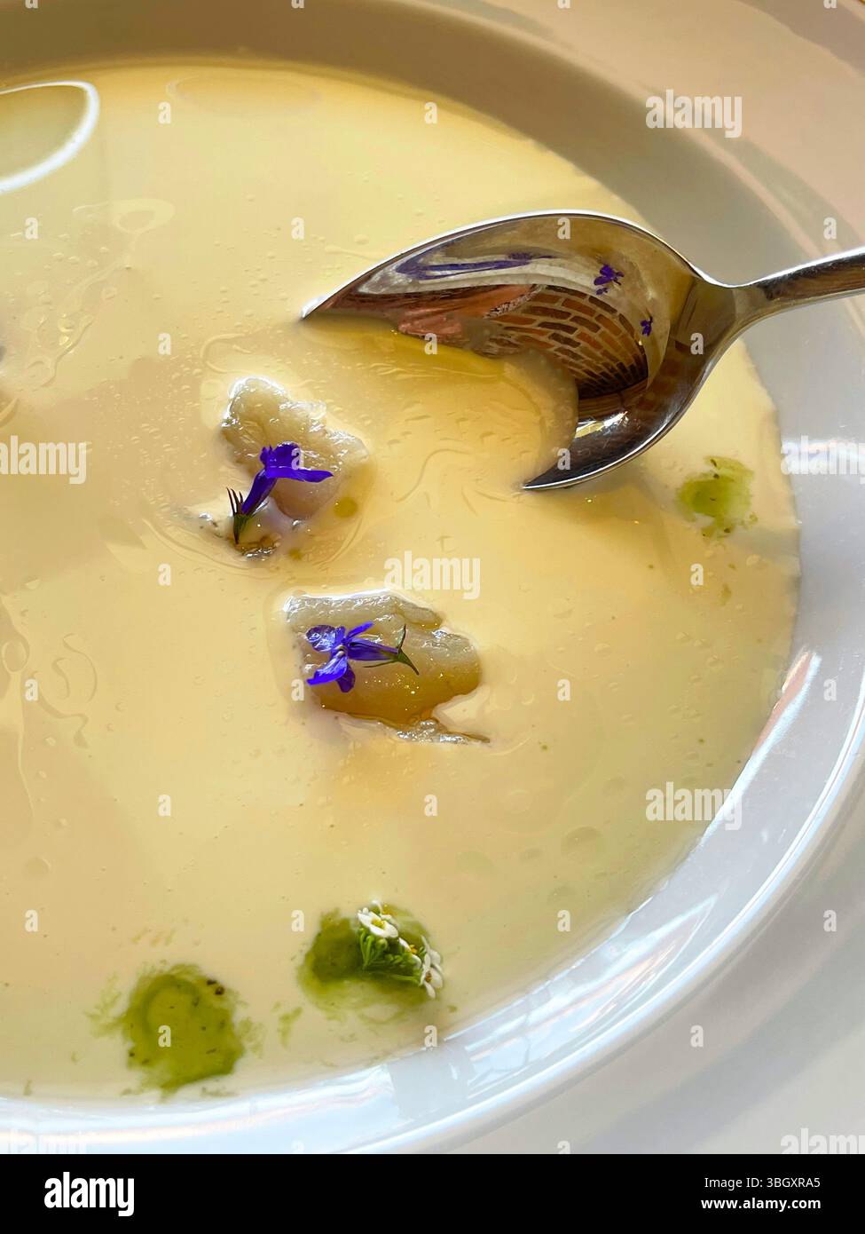 Manger de la crème de concombre avec de la morue. Espagne. Banque D'Images