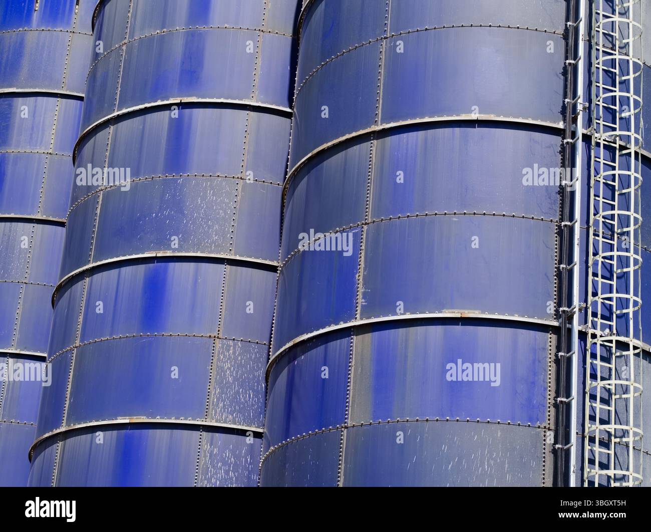 Un gros plan détaillé de plusieurs silos industriels bleus, mettant en évidence leurs panneaux métalliques rivetés et une échelle d'accès industrielle, sous un soleil fort Banque D'Images