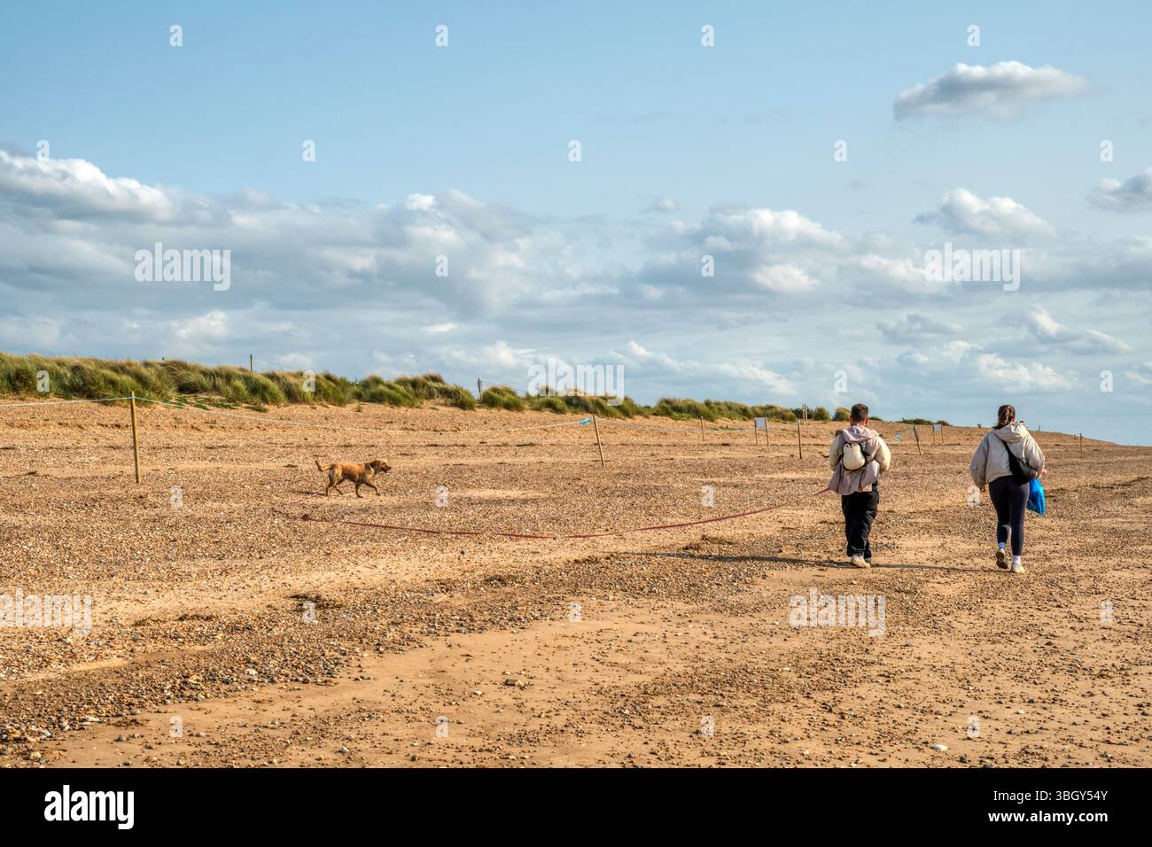 Les gens sur la plage sur la rive est du Wash entre Snettisham et Heacham, avec le chien sur une très longue laisse. Banque D'Images