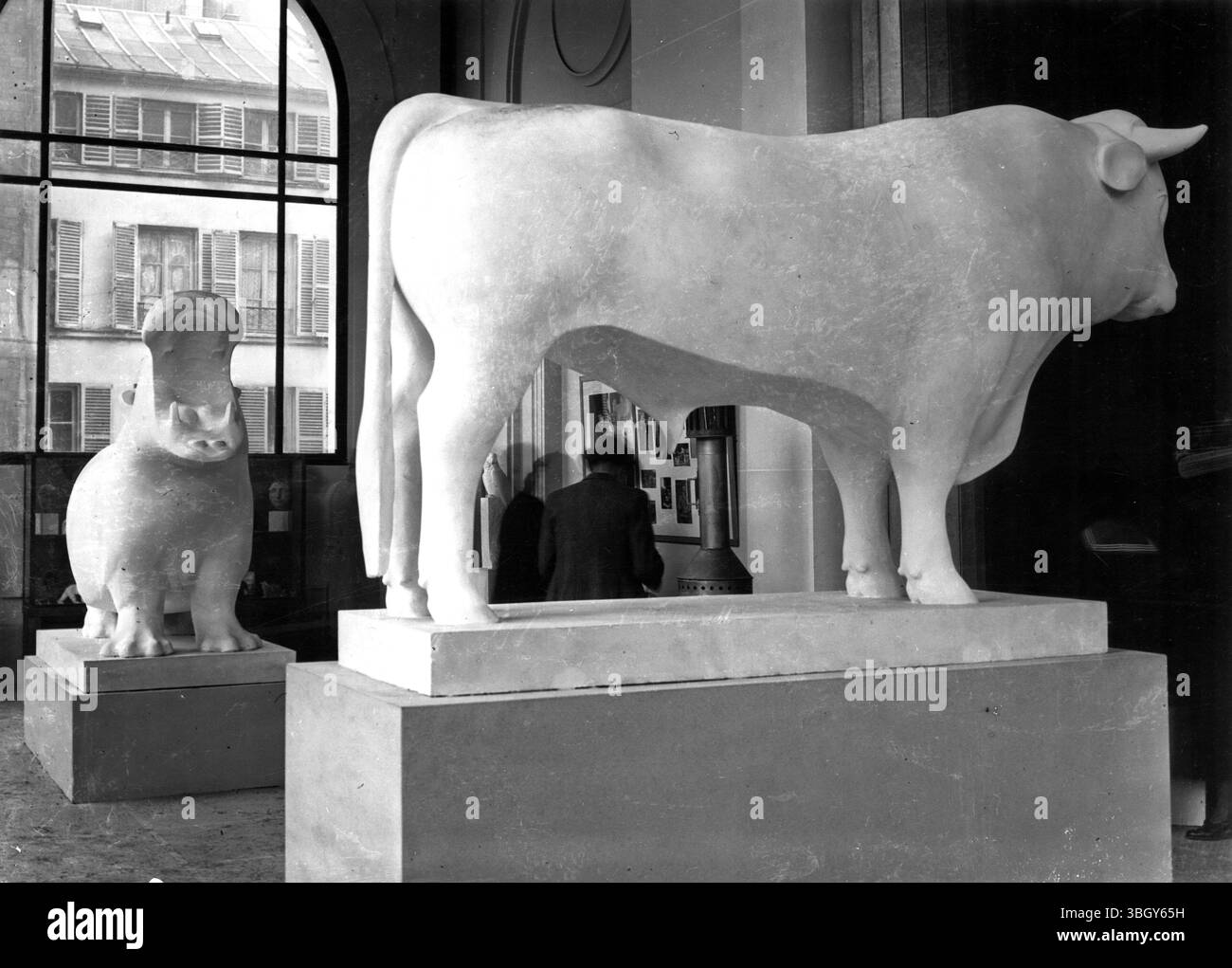 L’inauguration d’une série de sculptures animalières de feu François Pompon à la Galerie Botanique du jardin des plantes a eu lieu en présence de Prés Lebrun. Les expositions photographiques sont un modèle grandeur nature d'un taureau et d'un hippopotame réalisé par le regretté François Pompon. 13 janvier 1933 Banque D'Images