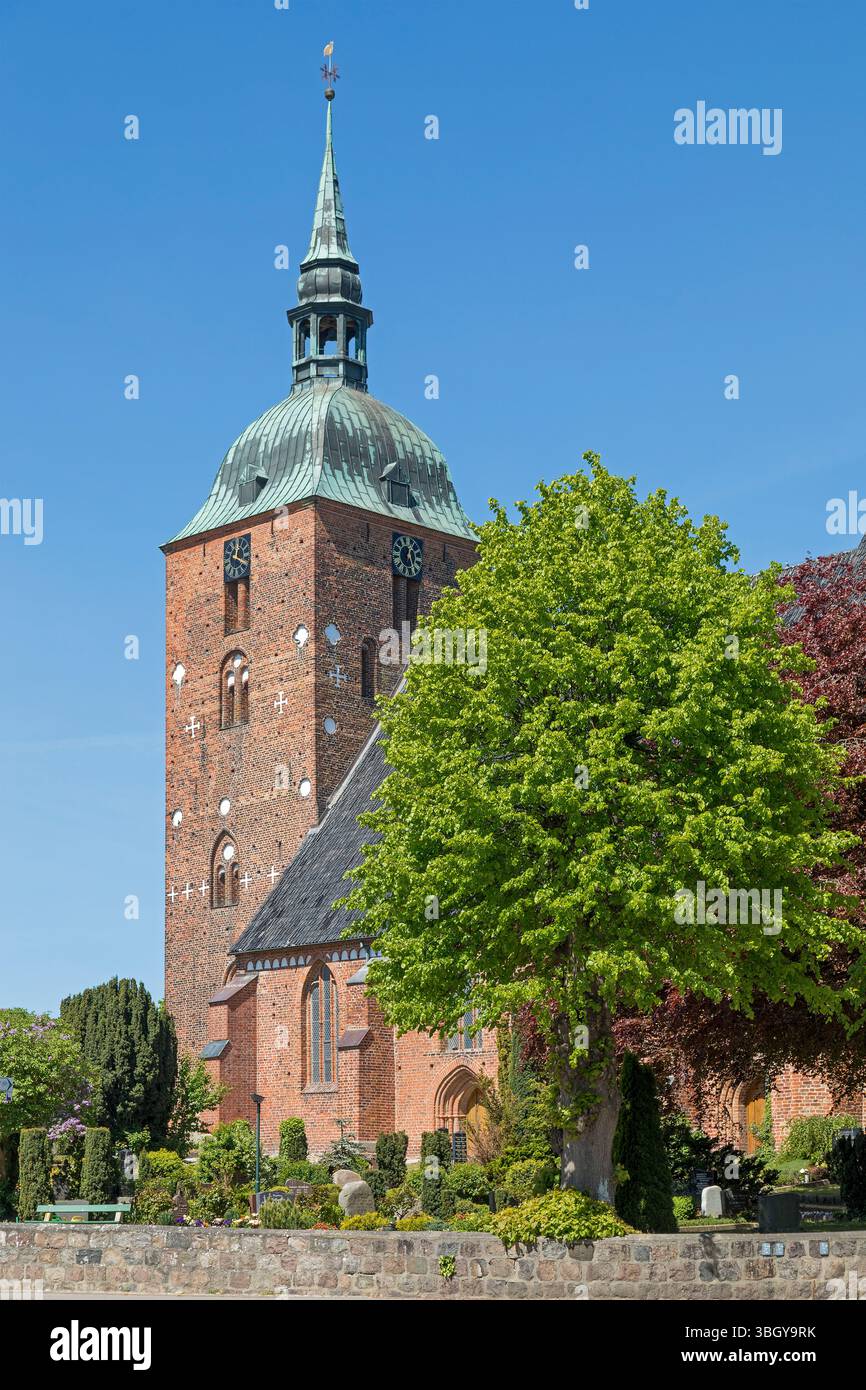 Église St Nikolai, Burg auf Fehmarn, île de Fehmarn, Schleswig-Holstein, Allemagne Banque D'Images