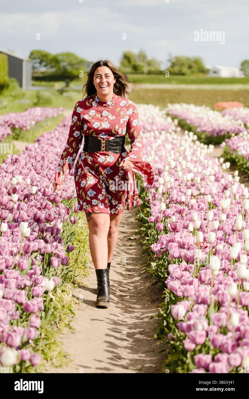Femme marchant à travers Purple Tulip Rows dans Spring Sunshine Banque D'Images