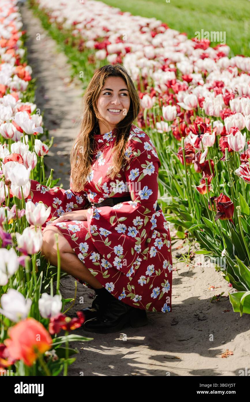 Moment joyeux à Tulip Rows of Holland Banque D'Images