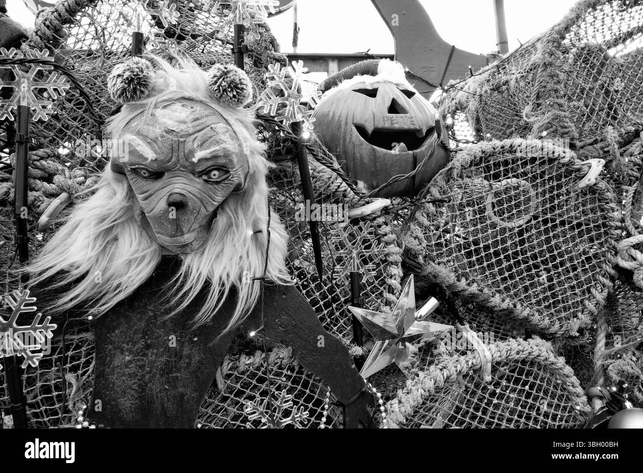 Noël à Arbroath, en Écosse, avec masque, citrouille sculptée, étoiles de mer et pots de homard sur le port, noir et blanc Banque D'Images
