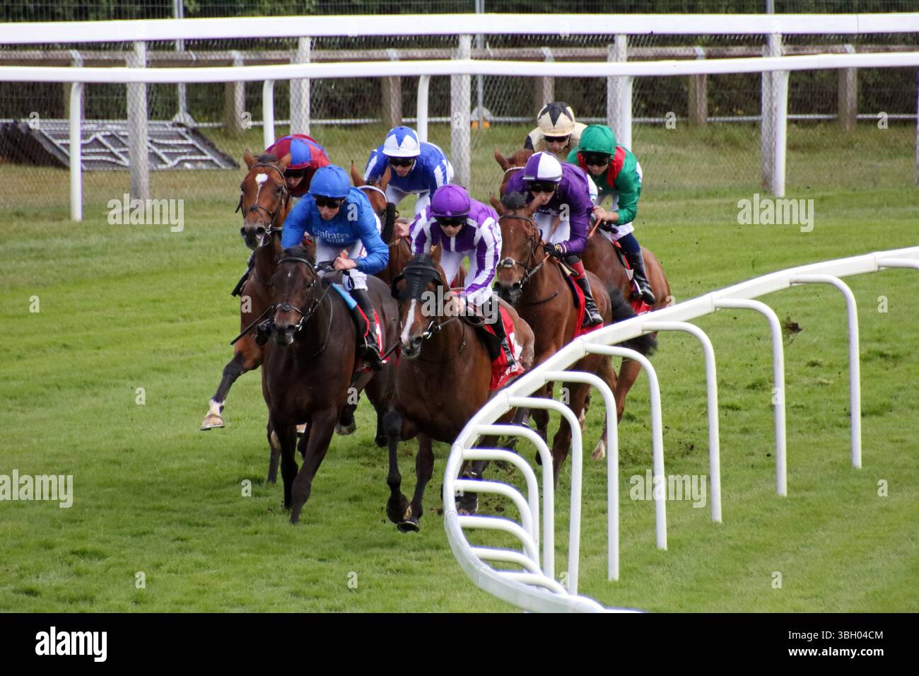 Epsom Downs, Surrey, Angleterre, Royaume-Uni. 6 juin 2025. Courses hippiques de jour pour dames sur Epsom Downs Surrey. Chevaux dans la course de la Coupe du couronnement autour de Tattenham Corner. Le vainqueur était le n°6 Jan Brueghel monté par Ryan Moore en Bordeaux et bleu. Le favori d'avant-course No 3 Calandagan en vert a terminé deuxième. Crédit : Julia Gavin/Alamy Live News Banque D'Images Epsom Downs, Surrey, Angleterre, Royaume-Uni. 6 juin 2025. Courses hippiques de jour pour dames sur Epsom Downs Surrey. Chevaux dans la course de la Coupe du couronnement autour de Tattenham Corner. Le vainqueur était le n°6 Jan Brueghel monté par Ryan Moore en Bordeaux et bleu. Le favori d'avant-course No 3 Calandagan en vert a terminé deuxième. Crédit : Julia Gavin/Alamy Live News Banque D'Images
