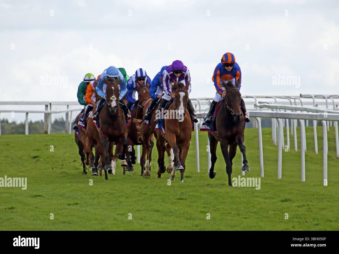 Epsom Downs, Surrey, Angleterre, Royaume-Uni. 6 juin 2025. Courses hippiques de jour pour dames sur Epsom Downs Surrey. Chevaux en route vers Tattenham Corner, avec la n°5 Minnie Hauk montée par Ryan Moore en violet, le vainqueur final des Oaks à Epsom Downs dans le Surrey. Crédit : Julia Gavin/Alamy Live News Banque D'Images Epsom Downs, Surrey, Angleterre, Royaume-Uni. 6 juin 2025. Courses hippiques de jour pour dames sur Epsom Downs Surrey. Chevaux en route vers Tattenham Corner, avec la n°5 Minnie Hauk montée par Ryan Moore en violet, le vainqueur final des Oaks à Epsom Downs dans le Surrey. Crédit : Julia Gavin/Alamy Live News Banque D'Images
