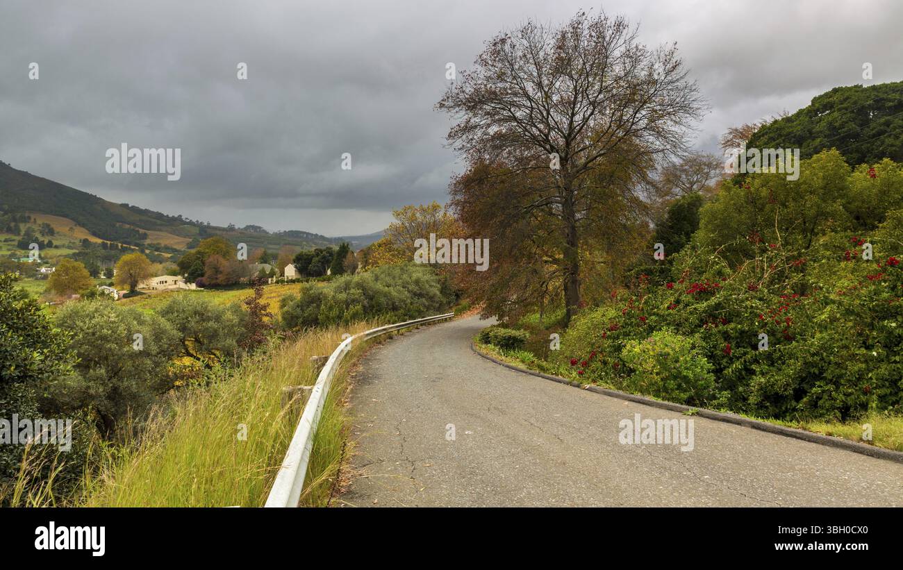 Une petite route asphaltée traversant les paysages pittoresques des régions du Cap occidental en Afrique du Sud Banque D'Images Une petite route asphaltée traversant les paysages pittoresques des régions du Cap occidental en Afrique du Sud Banque D'Images