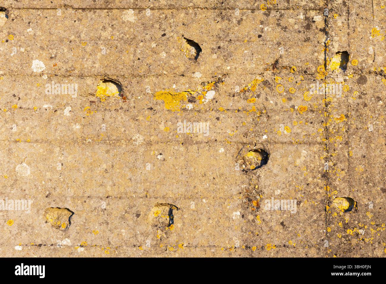 Trous de balles dans une casemate de la batterie de longues-sur-mer (fortifications côtières du mur de l'Atlantique en Allemagne) à longues-sur-mer (Calvados), France Banque D'Images
