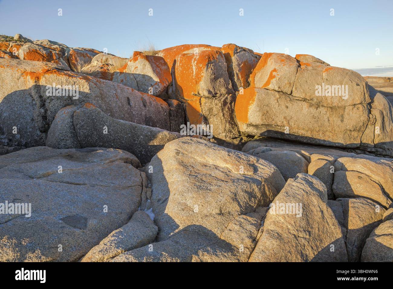 Gros plan de roches rouges dans la baie de Binalong, région de la baie des feux consevation, côte est de la Tasmanie en Australie. Binalong Bay est un peu plus de 10 kilomètres driv Banque D'Images