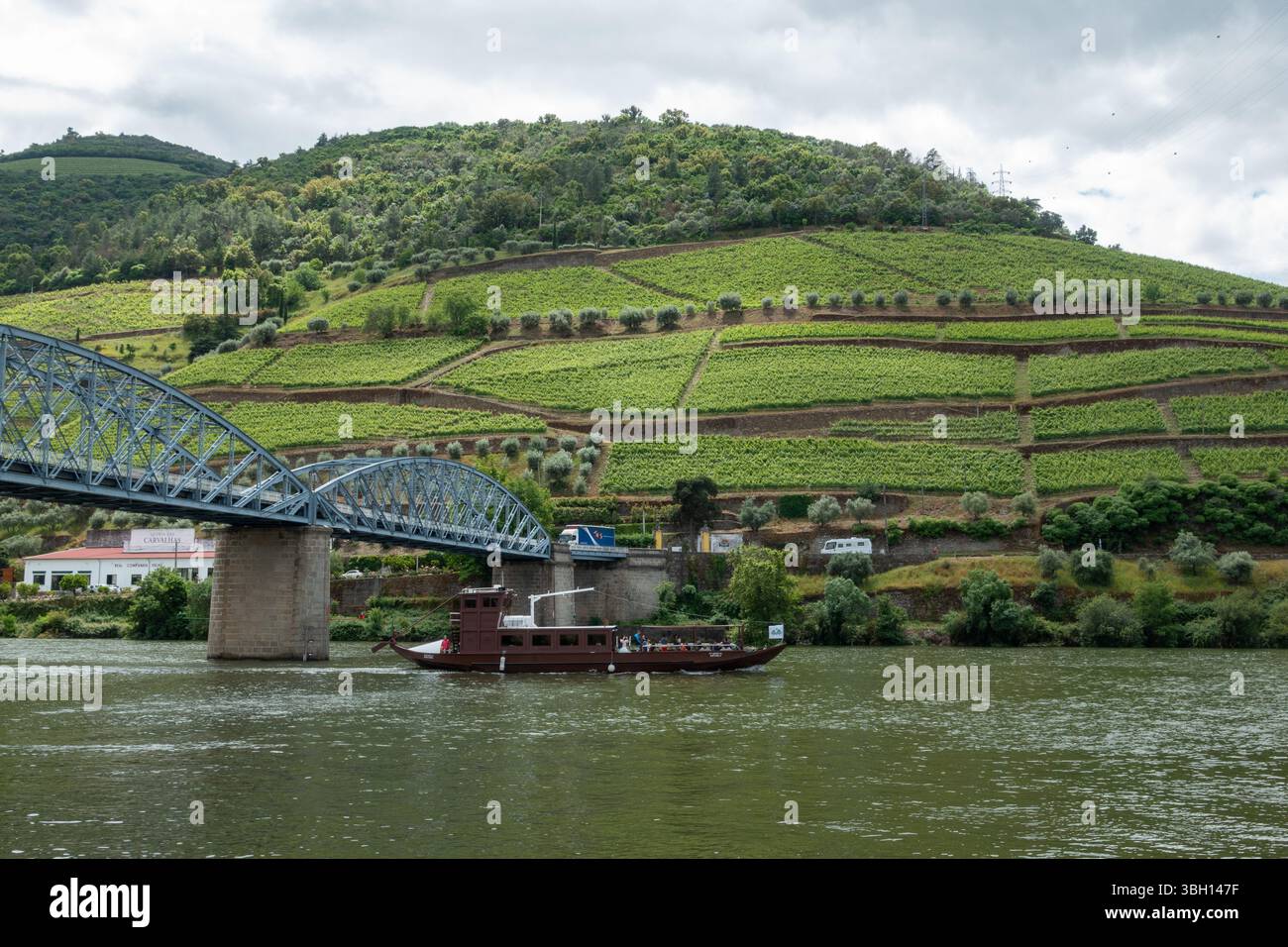 Paysage de terrasses de vignes, et pont à Pinhao sur le fleuve Douro, Portugal Banque D'Images