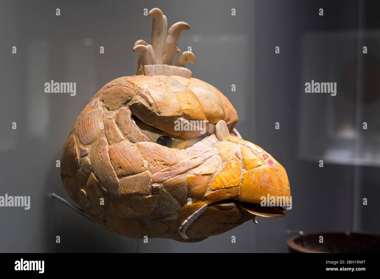 Une visite à l'exposition Maya. Musée d'Antropologie, Mexico, Mexique Banque D'Images