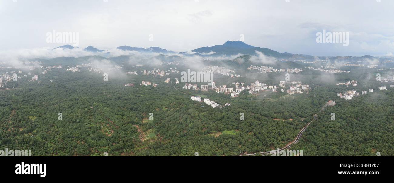 (250607) -- MAOMING, 7 juin 2025 (Xinhua) -- une photo panoramique prise par drone aérien le 19 mai 2025 montre des jardins de litchis à Gaozhou, dans la ville de Maoming, dans la province du Guangdong, au sud de la Chine. Nichée dans les paysages luxuriants du sud-ouest de la province de Guangdong, Gaozhou de Maoming City est connue comme une « ville natale des litchis » en Chine. Maoming est la plus grande base de production de litchis de Chine avec une superficie de plantation d'environ 1,42 millions de mu (environ 94 667 hectares) et une production annuelle qui représentait environ 20 pour cent du total du pays en 2024. Au-delà de l'approvisionnement des marchés intérieurs, Maoming Lychee est expor Banque D'Images