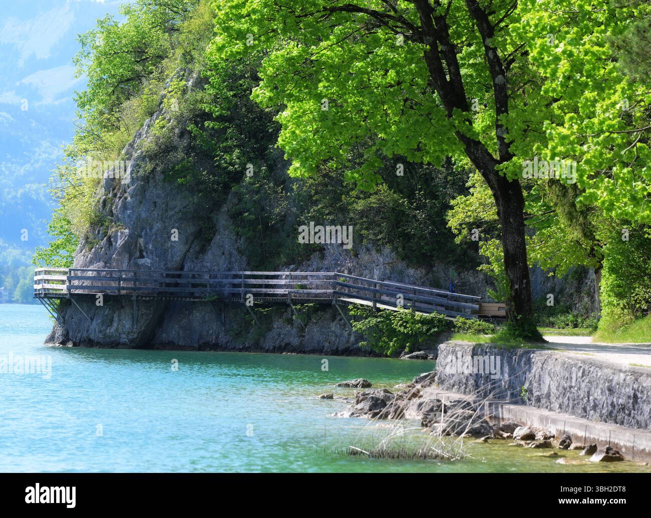 Ausflug nach Strobl am Wolfgangsee, fotografiert am 29.04.25. DAS Bild zeigt einen Teil des Bürglstein-Panoramarundwegs in Strobl 2025 - Ausflug nach Strobl am Wolfgangsee, AM 29.04.25 *** excursion à Strobl am Wolfgangsee, photographiée le 29 04 25 la photo montre une partie du sentier circulaire panoramique Bürglstein à Strobl 2025 excursion à Strobl am Wolfgangsee, le 29 04 25 Banque D'Images