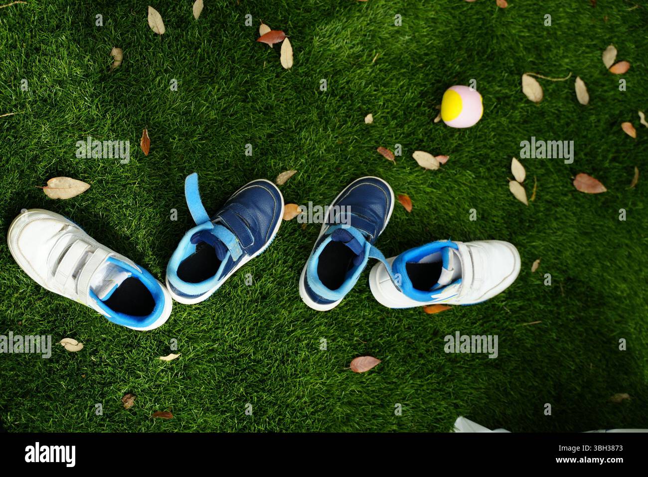 Baskets pour enfants éparpillées sur l'herbe verte, accompagnées d'une petite balle de tennis. L'image capture une scène de jeu en extérieur avec des feuilles tombées ajoutant un Banque D'Images