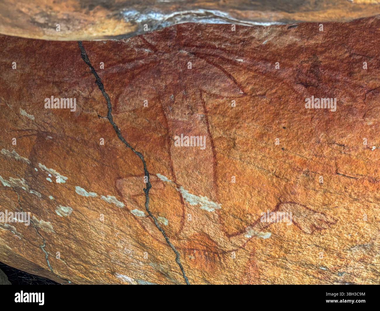 Peinture rupestre aborigène ou indigène près des chutes Mitchell, sur le plateau Mitchell en Australie occidentale. Banque D'Images