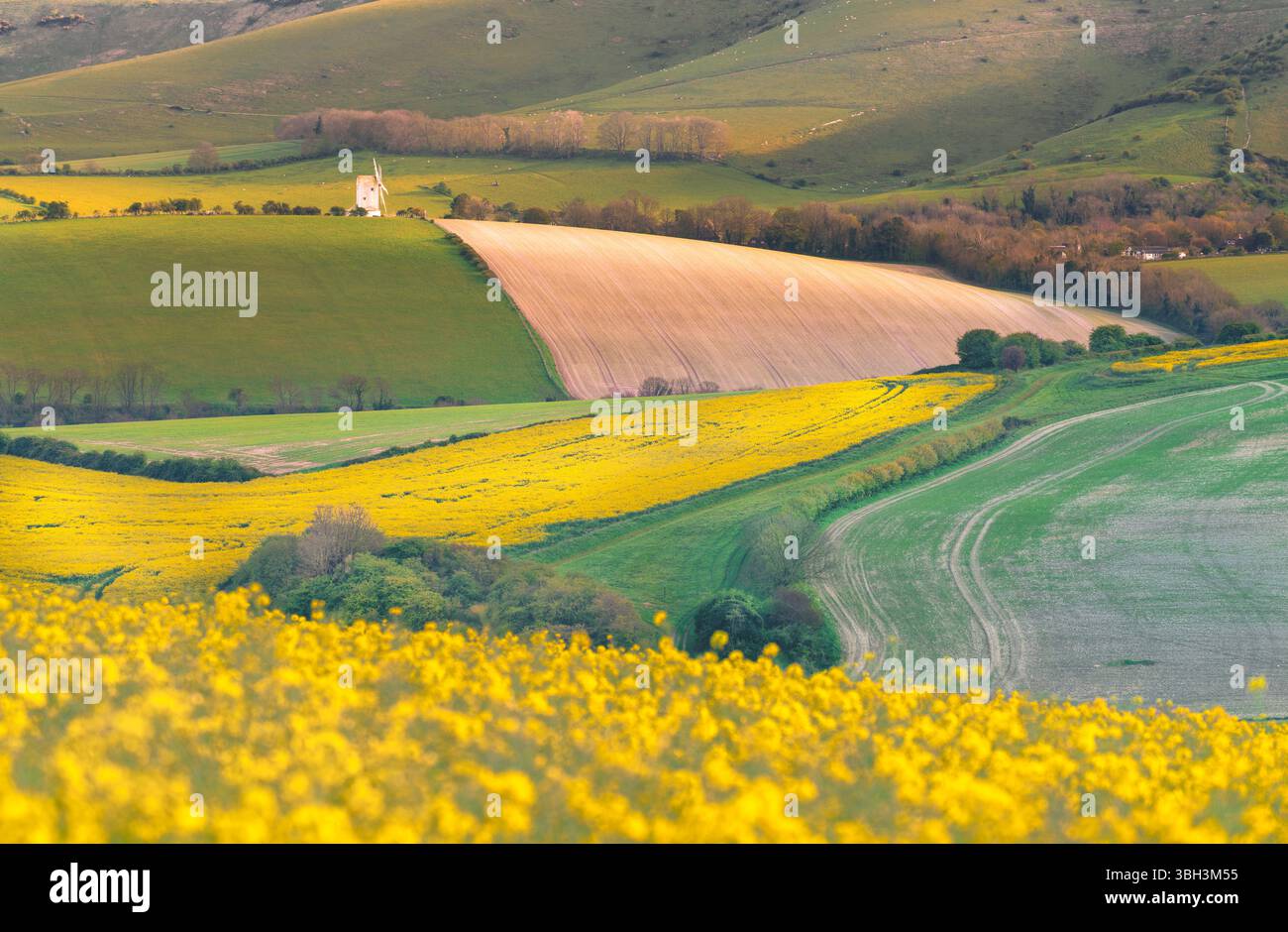 South Downs Spring à Ashcombe Mill Banque D'Images
