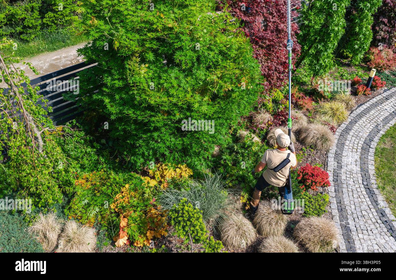 Un jardinier utilise un long outil pour couper le feuillage luxuriant dans un jardin coloré rempli de plantes diverses. La lumière vive du soleil améliore les couleurs riches du Banque D'Images