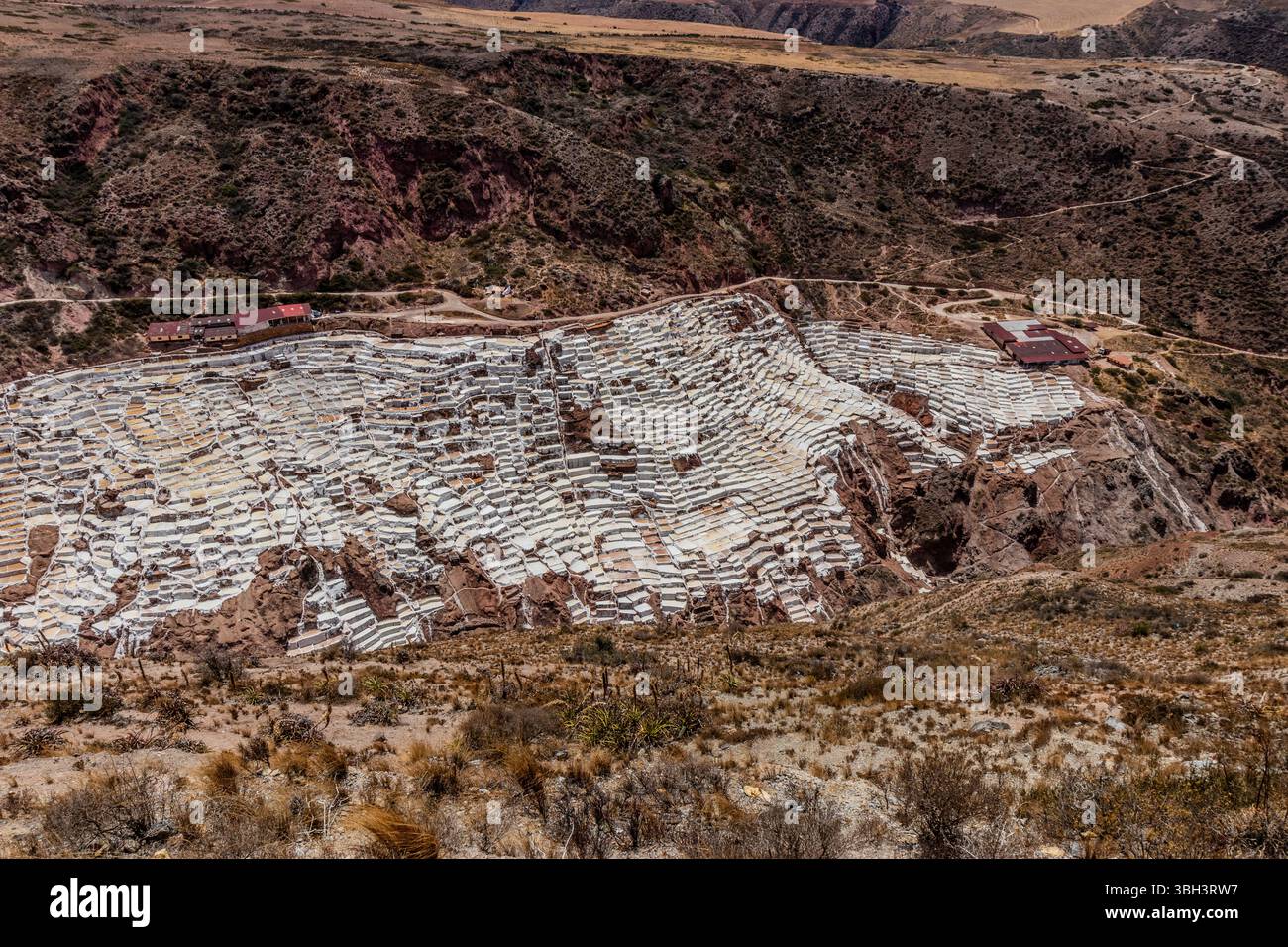 Mines de sel de Maras dans la Vallée sacrée des Incas, Pérou Banque D'Images