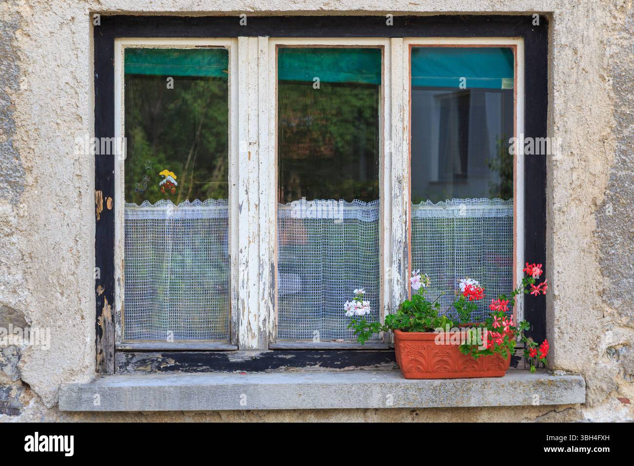 Fenêtre avec des fleurs, farce, Slovénie Banque D'Images