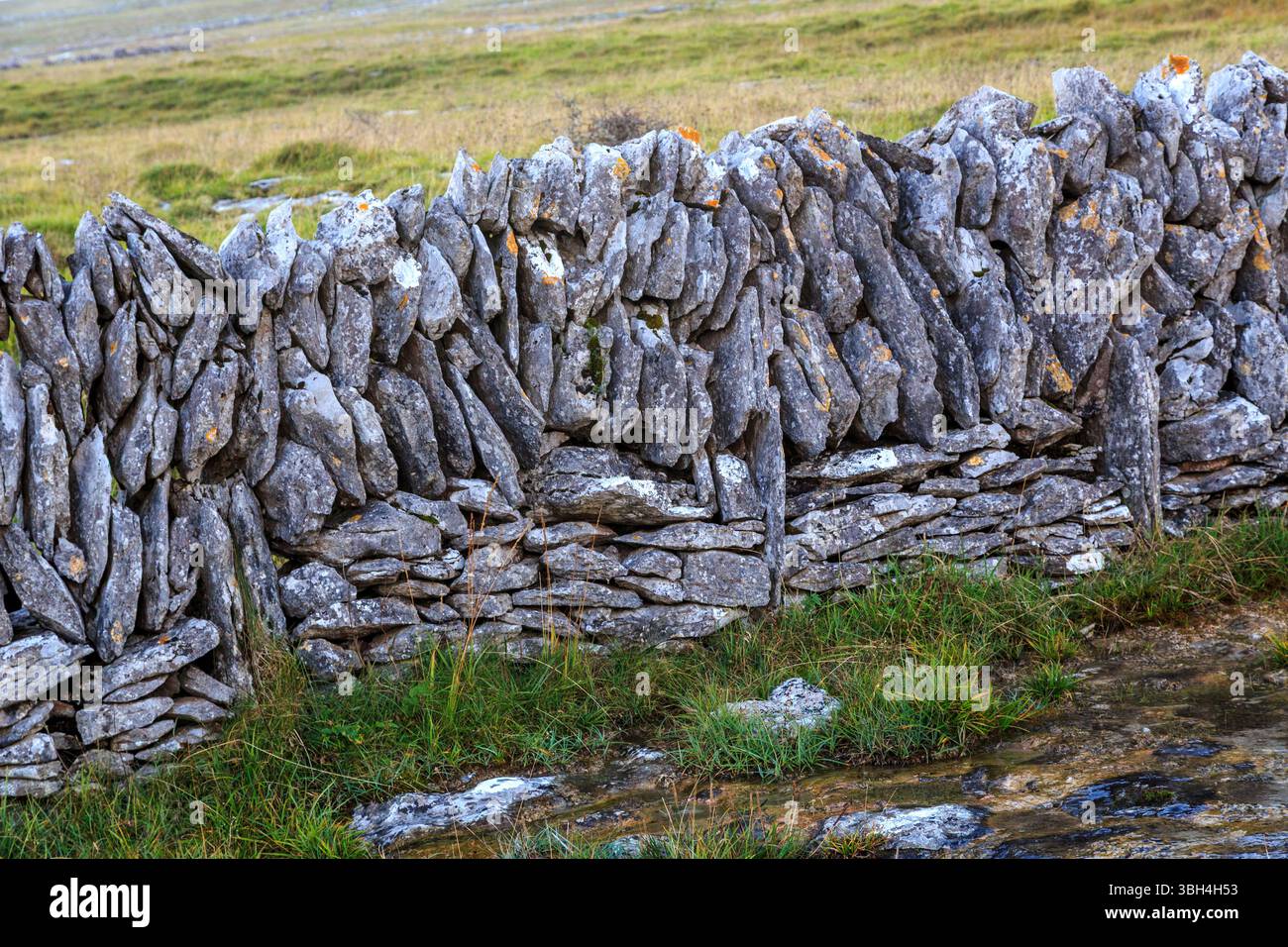 Détail du mur de pierre sèche, Co. Clare, Irlande Banque D'Images