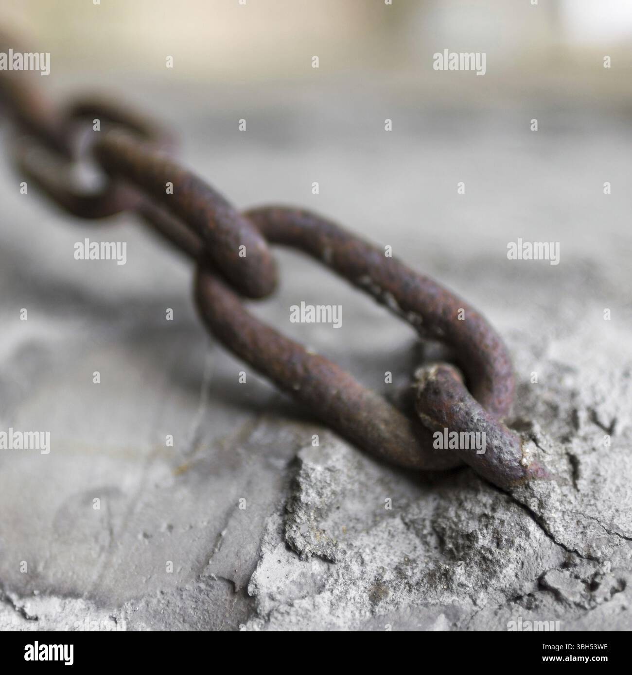 Les pieds sur terre Banque D'Images