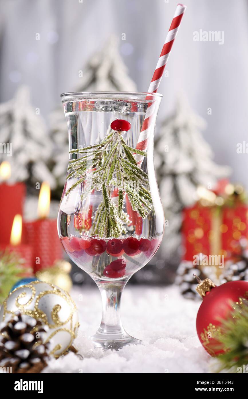 Cocktail Snow Globe. Romarin au lieu d'un arbre de Noël avec canneberge, Gin et Tonic. Une boisson festive pour Noël Banque D'Images