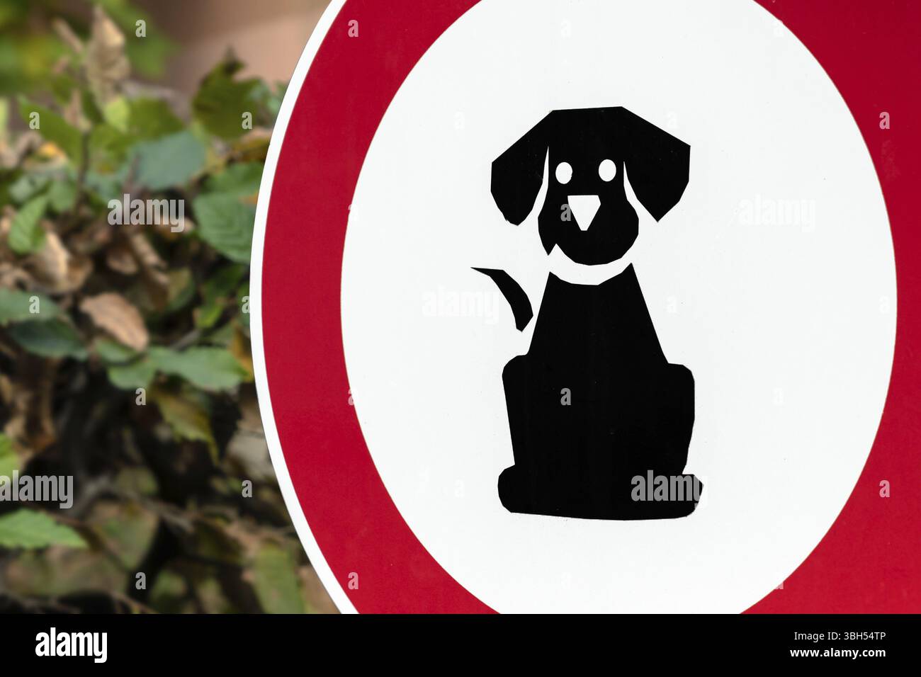 Animaux interdits dans le panneau du parc. Le panneau de marche de chien est interdit dans un parc public Banque D'Images