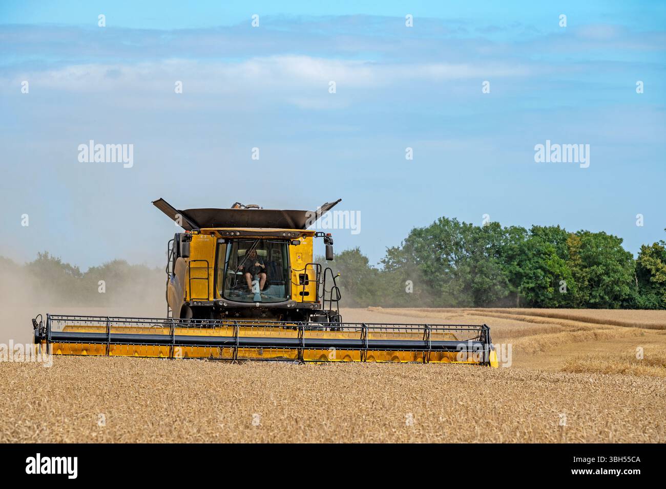 Récolte de blé Otley Suffolk UK Banque D'Images