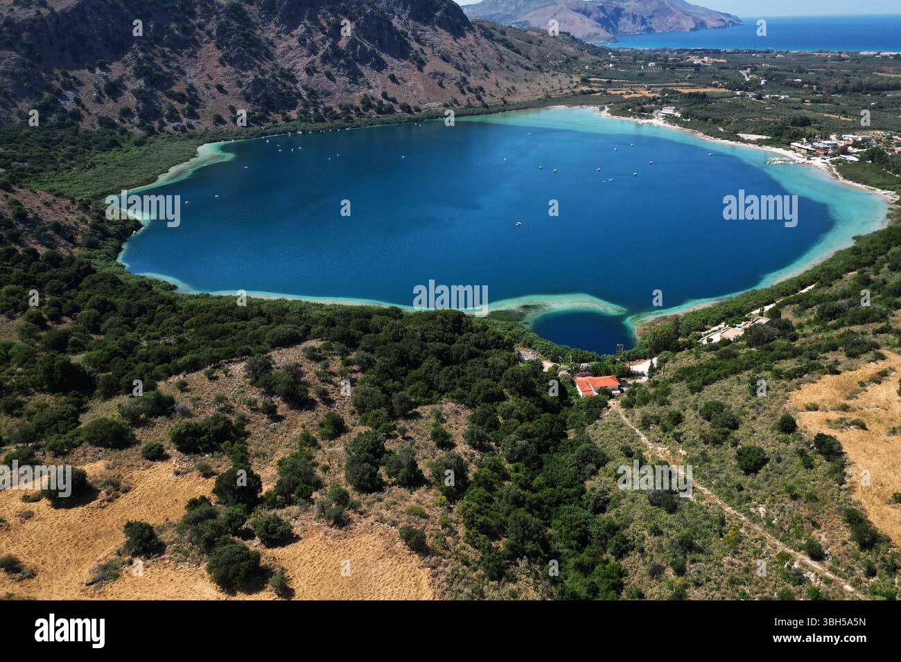 07.06.2025 , xsvx, Reise Urlaub, Griechenland Kreta emwir, v.l. Lake Kournas. Der Kournas-See griechisch ÎÎÎ¼Î½Î ÎºÎÏÖÏÎ½Î ist der einzige natürliche Süßwassersee auf Kreta. Er liegt in einem Tal umgeben von Bergen und üppigem Grün, etwa 4 km von Georgioupolis entfernt, in der Region Chania. Voir Kournas Kournas *** 07 06 2025 , xsvx, vacances de voyage, Grèce Crète emwir, v l Lac Kournas Lac Kournas grec Î ÎÎ¼Î½Î- ÎºÎÏÖÏÎ½Î est le seul lac naturel d'eau douce en Crète il est situé dans une vallée entourée de montagnes et de verdure luxuriante, à environ 4 km de Georgioupolis, dans le lac de la Canée Banque D'Images
