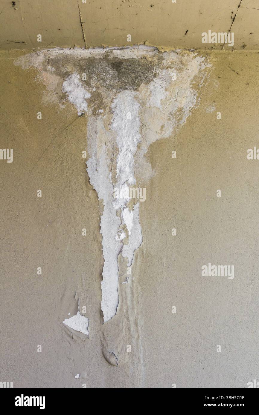 L'écaillage de la peinture sur le mur humide indiquant Banque D'Images