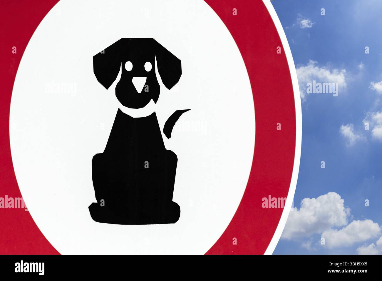 Pas d'animaux acceptés signe dans le parc. Le panneau de marche de chien est interdit dans un parc public Banque D'Images