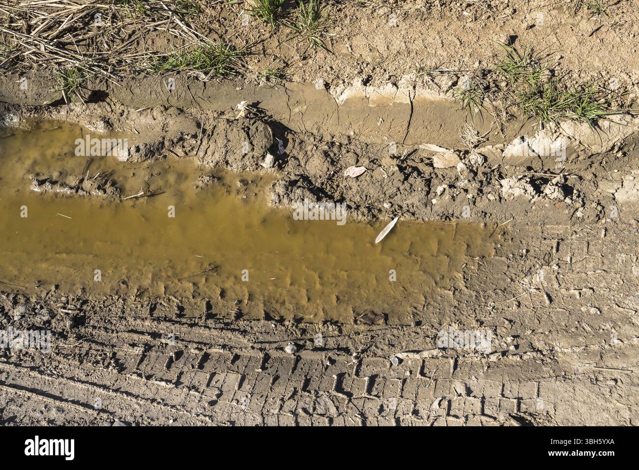 Flaque de boue et roue de voiture avec la voie Banque D'Images