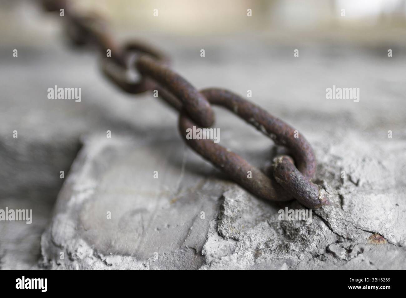 Les pieds sur terre Banque D'Images