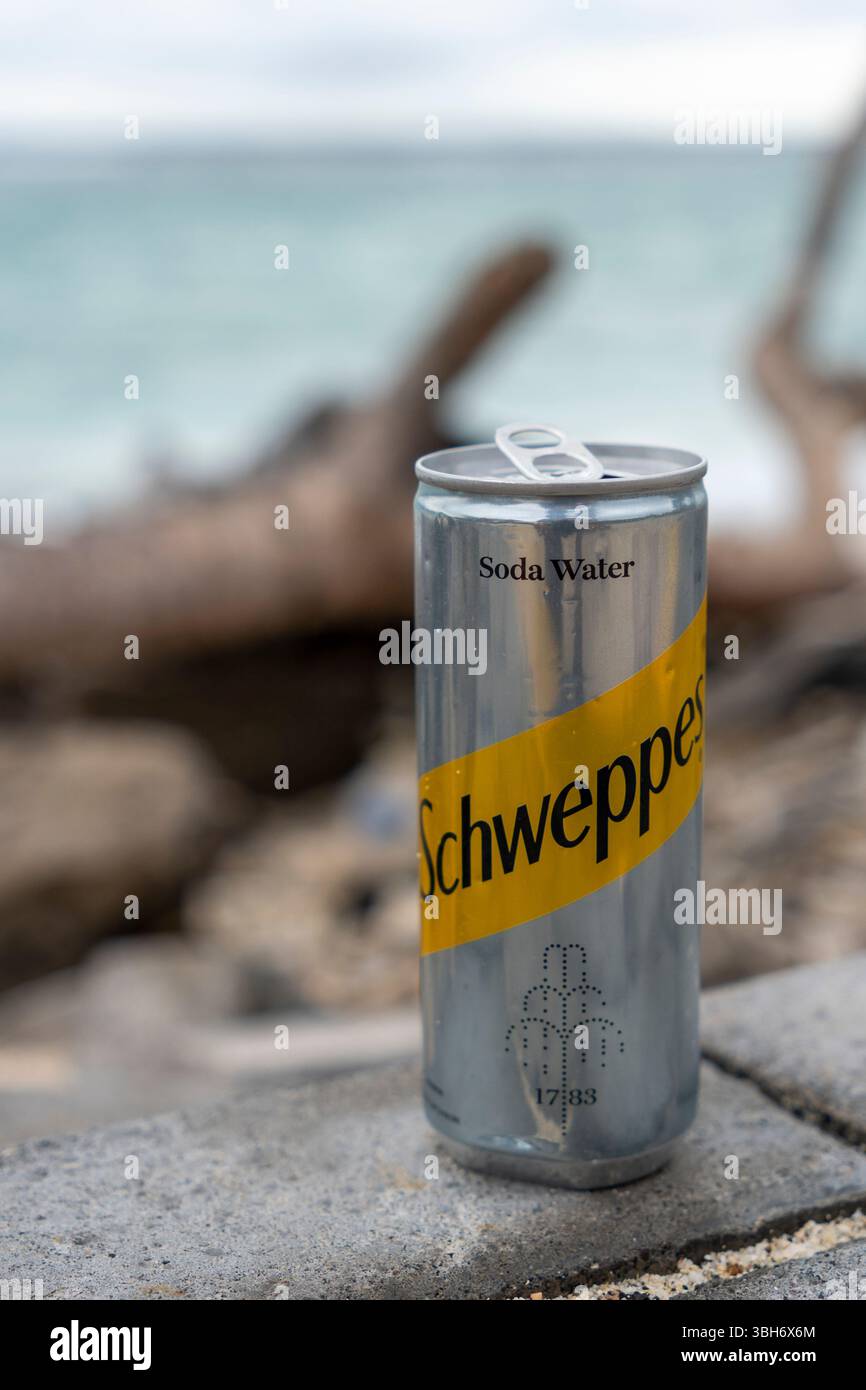 Gili Trawangan, Indonésie - 4 janvier 2025 : Can of Schweppes soda est assis sur un rocher au bord de l'eau. La boîte est argentée et a une bande jaune dessus. Le Banque D'Images
