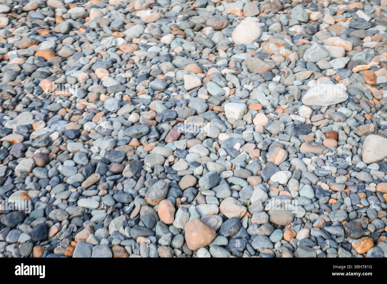 fond de galets mooth. variété de roches lisses et naturelles avec différentes formes et textures Banque D'Images