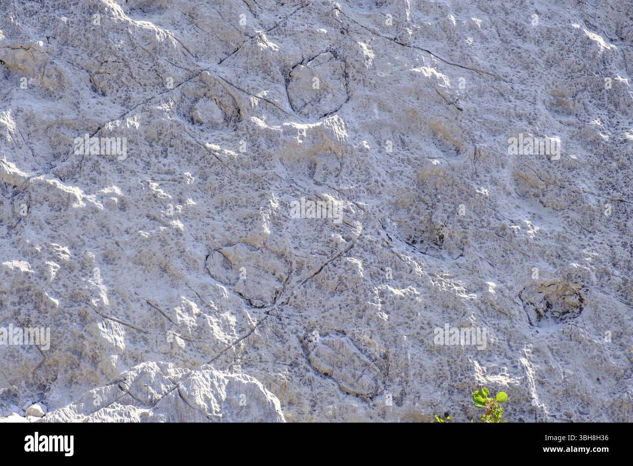 Traces de dinosaures, zone de glissement de roches, biotope Marocche di Dro, près de Dro, vallée de la Sarca, Trentin, Italie, Europe Banque D'Images