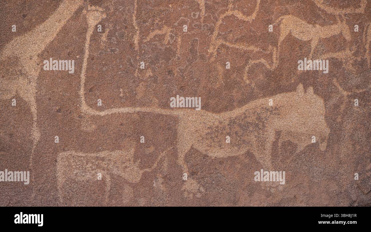 Détail, gravure sur roche d'un lion, représentations d'animaux sur une dalle de roche, dalle de lion, pétroglyphes, gravures sur roche, Twyfelfontein, Kunene, Namibie, Afric Banque D'Images