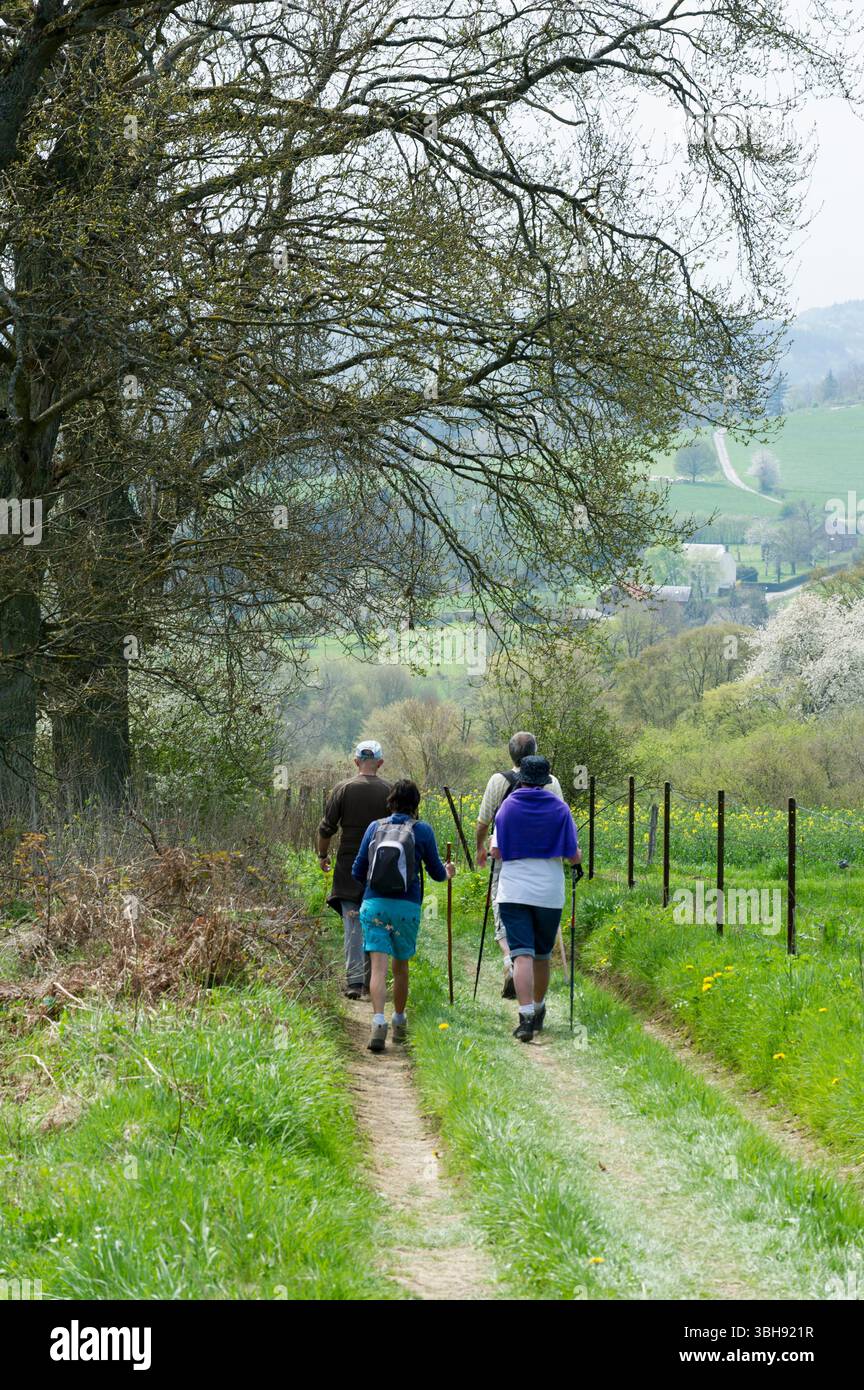 Groupes de promeneurs dans la campagne autour de celles, l'un des plus beaux villages de Wallonie. Promenade entre amis | groupes de marcheurs dans le co Banque D'Images