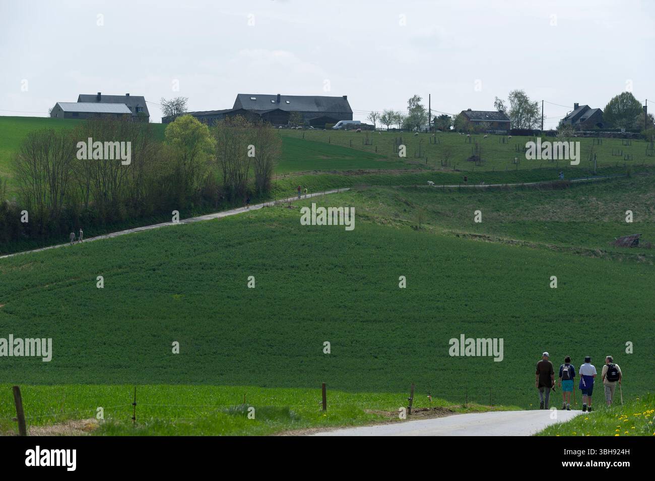 Groupes de promeneurs dans la campagne autour de celles, l'un des plus beaux villages de Wallonie. Promenade entre amis | groupes de marcheurs dans le co Banque D'Images