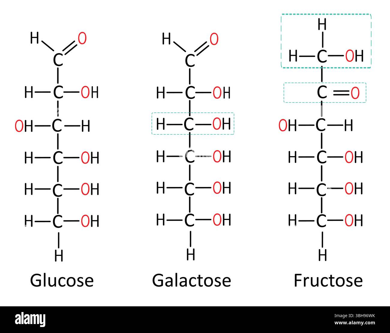 Isomérisme de structure chimique du glucose, du galactose et du fructose utile pour les étudiants en médecine et en biochimie illustration vectorielle Illustration de Vecteur