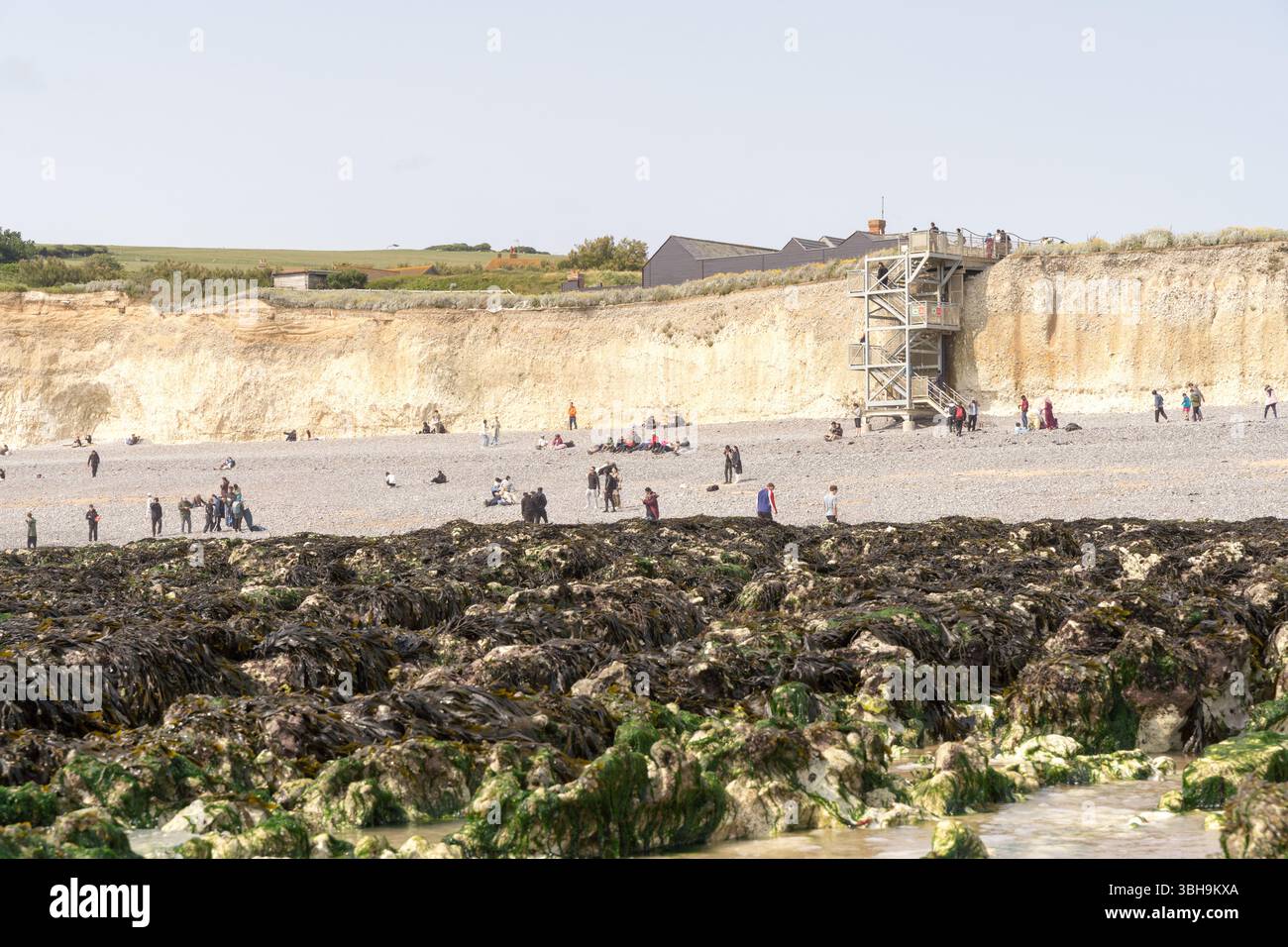 Parc national de South Downs, Royaume-Uni – 8 juin 2025 : les visiteurs sur la plage au-dessous des falaises de craie érodées à Seven Sisters, érosion côtière et tourisme géologique les visiteurs prennent un bain de soleil, profitent des vagues et de l'air frais de la mer, et font de la randonnée à travers les sentiers pittoresques du parc national de South Downs crédit : Xiu Bao / Alamy Live News. Banque D'Images