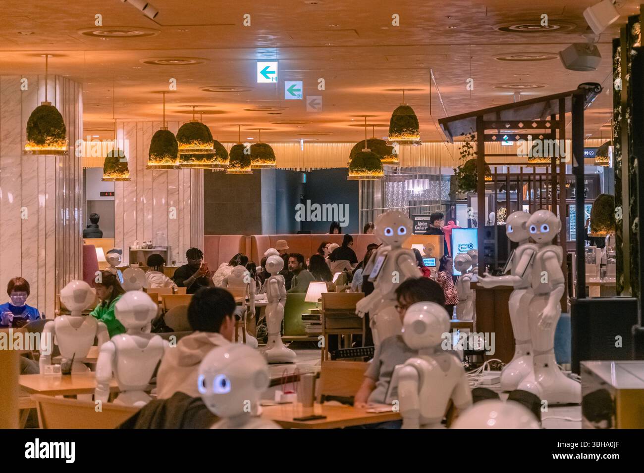 Tokyo, Japon, Shibuya-13 janvier 2025 : restaurant robot avec des clients et des robots blancs partout. Banque D'Images