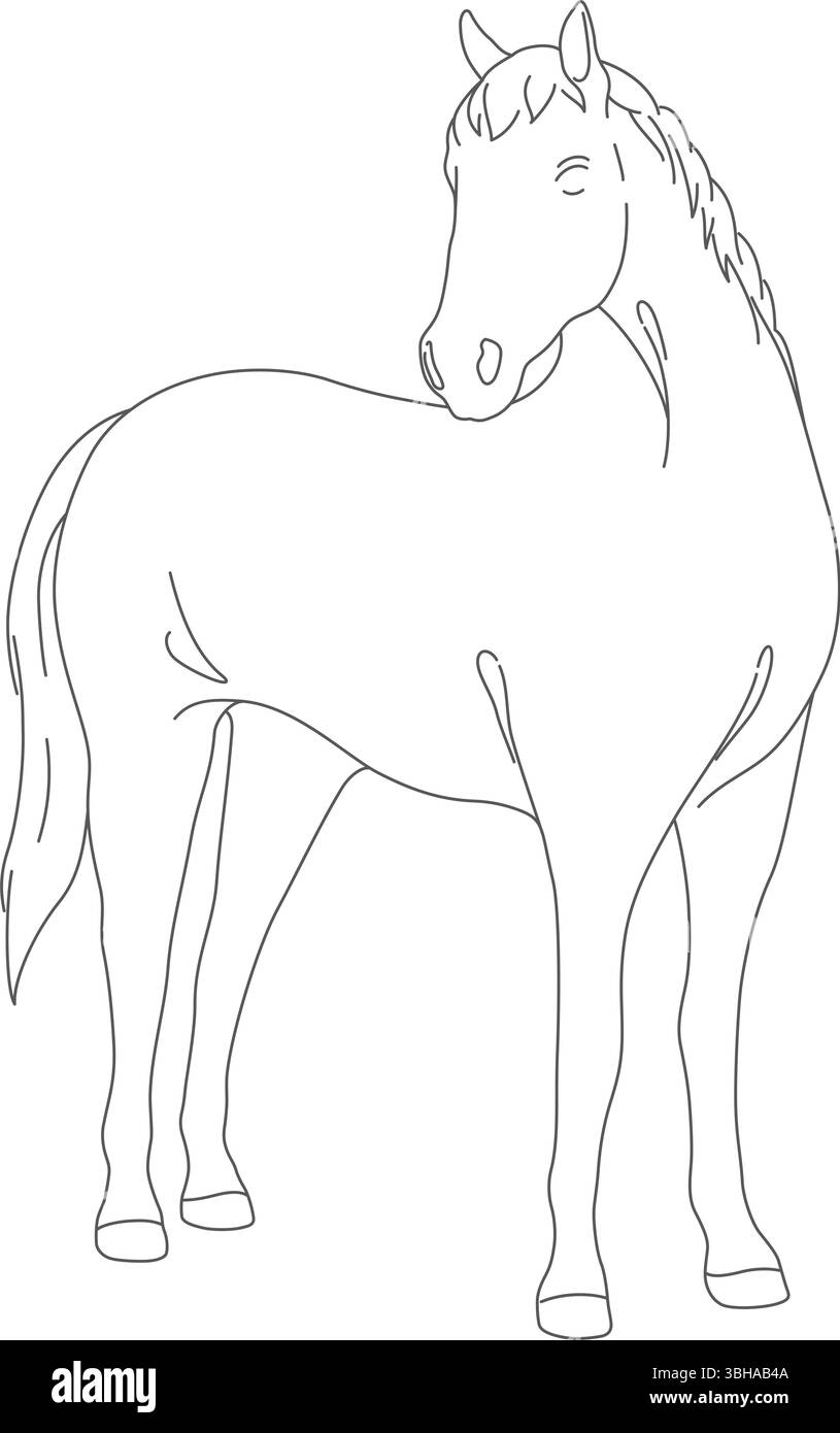 Monochrome Vector Horse dessin de ligne élégant isolé sur Un fond blanc. Illustration de Vecteur