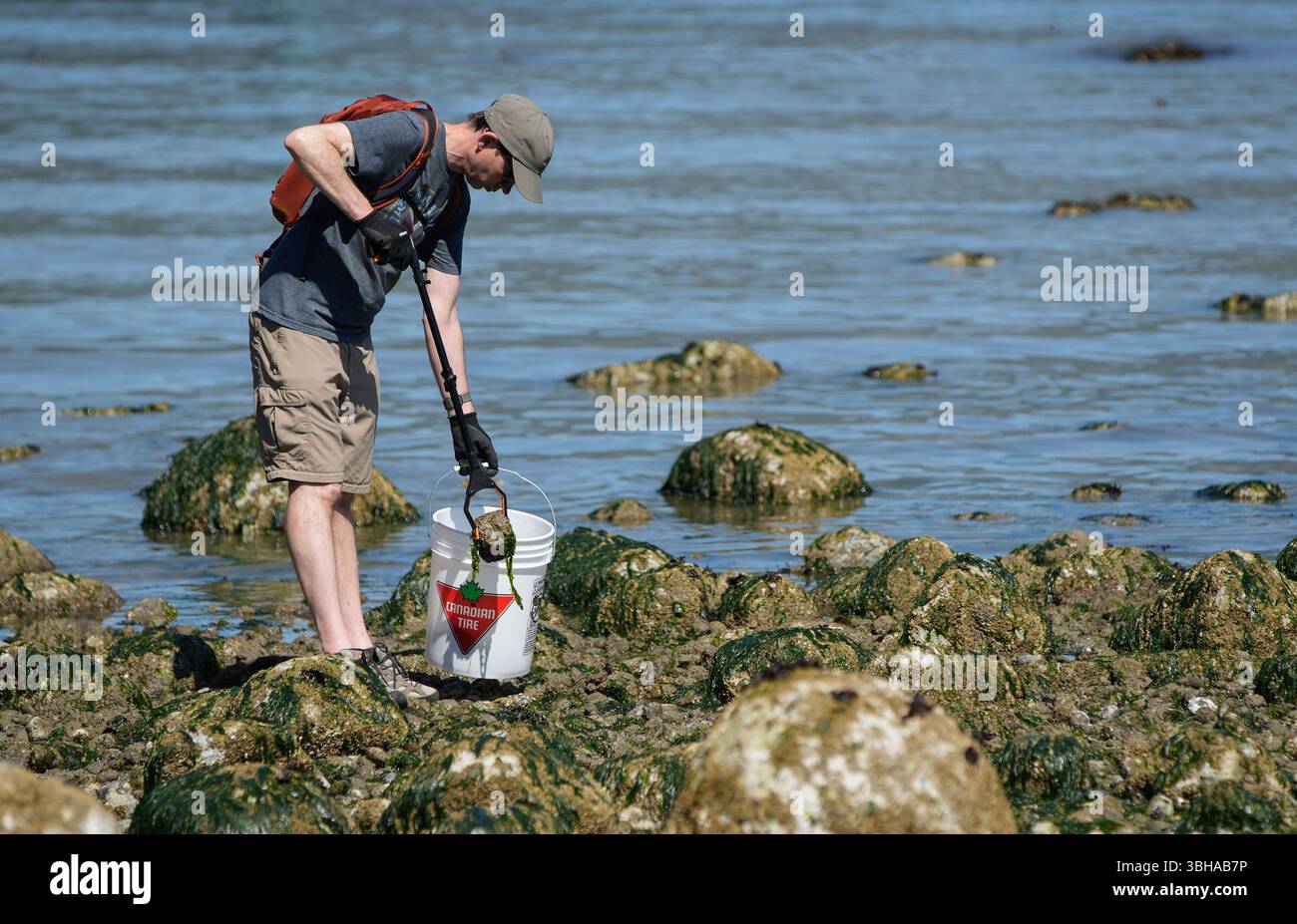 Vancouver, Canada. 8 juin 2025. Un bénévole ramasse les ordures lors d’un événement de nettoyage du rivage lors de la Journée mondiale des océans au parc Stanley à Vancouver, en Colombie-Britannique, Canada, le 8 juin 2025. Le 8 juin marquait la Journée mondiale des océans. Des bénévoles ont pris part à un événement de nettoyage du rivage, ramassant les ordures le long du rivage pour sensibiliser la population à la protection de l’environnement marin. Crédit : Liang Sen/Xinhua/Alamy Live News Banque D'Images