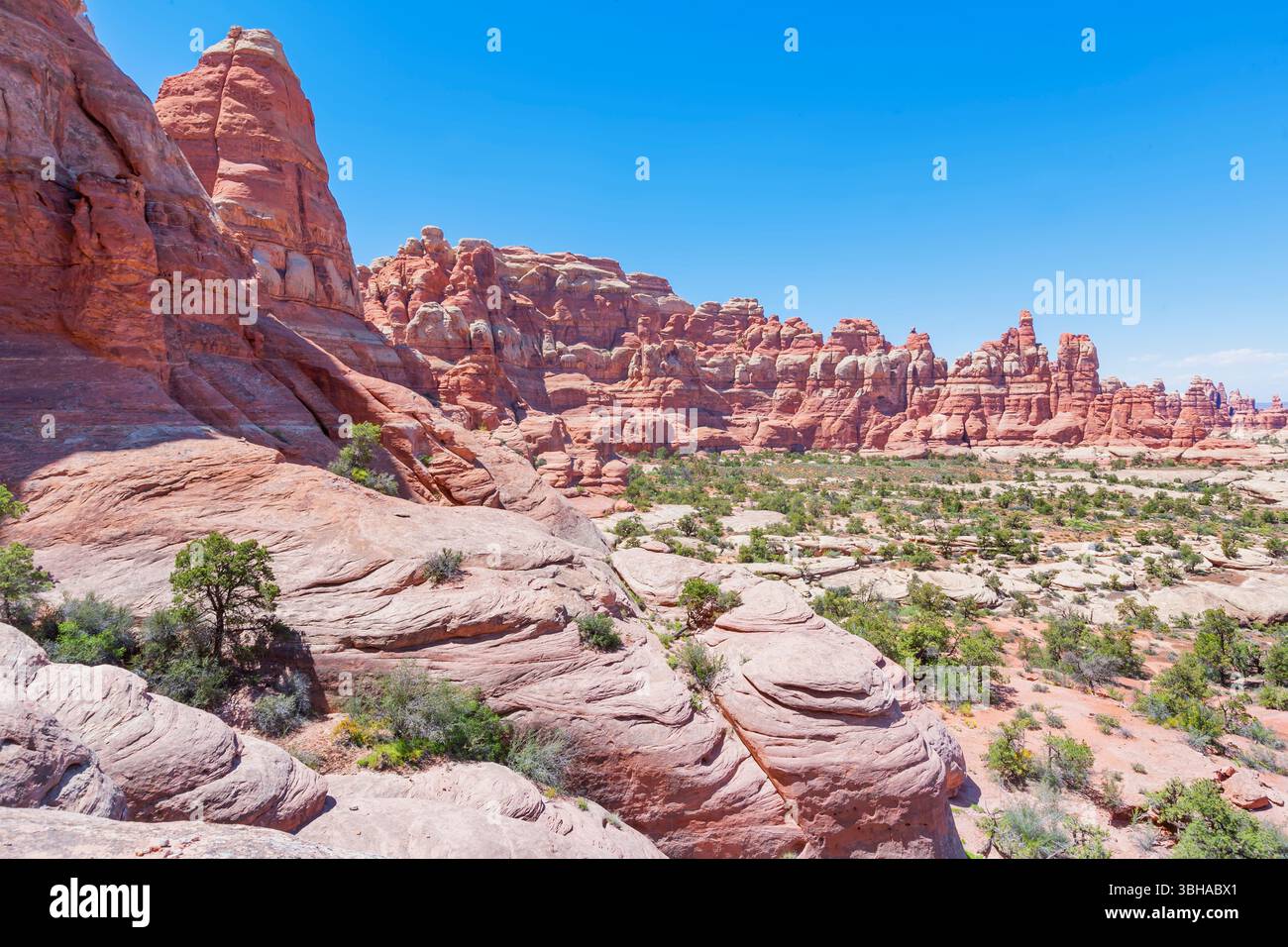 Pinnacles en grès, Chesler Park, The Needles District, Canyonlands National Park, Utah, États-Unis Banque D'Images